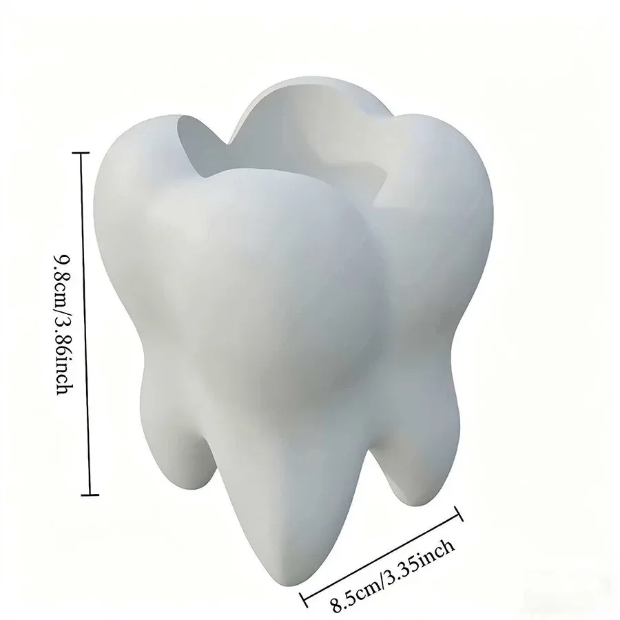 3D 프린팅된 치아 모양의 창의적인 칫솔 보관대, 펜  - 3D Printing Orthodontics 리뷰 및 가격