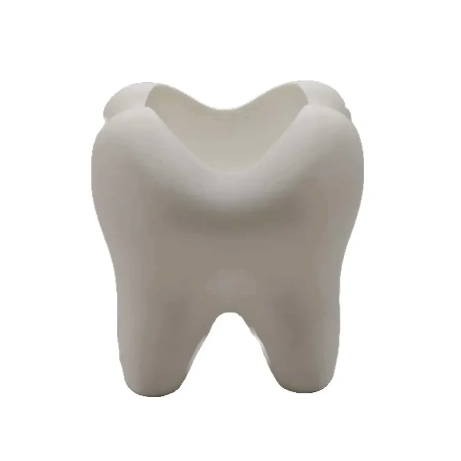 3D 프린팅된 치아 모양의 창의적인 칫솔 보관대, 펜  - 3D Printing Orthodontics 리뷰 및 가격