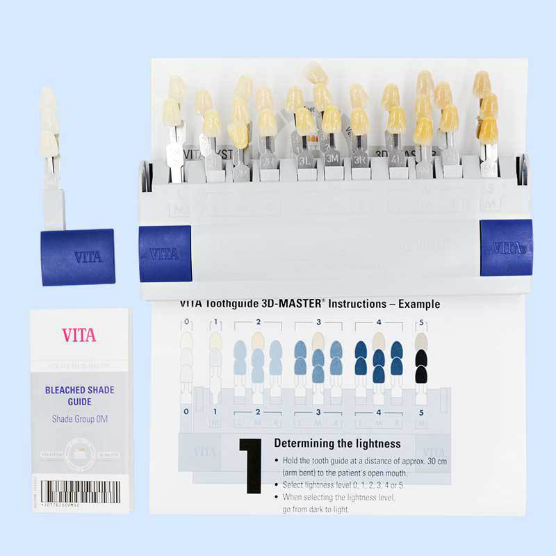 VITA 29색 치아 색상표 클래식 틀니 3D 마스터  - 3D Printing Orthodontics 리뷰 및 가격
