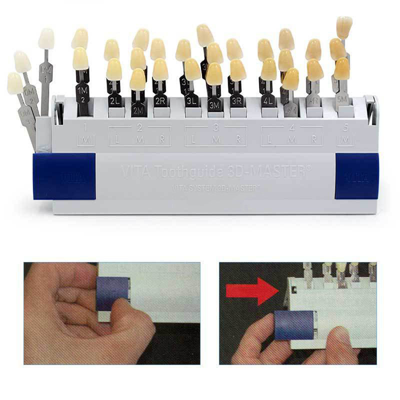 VITA 29색 치아 색상표 클래식 틀니 3D 마스터  - 3D Printing Orthodontics 리뷰 및 가격